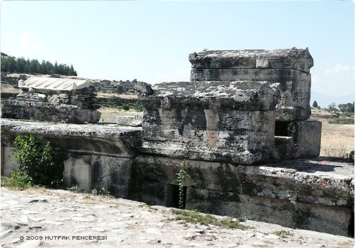 Pamukkale Gezisi