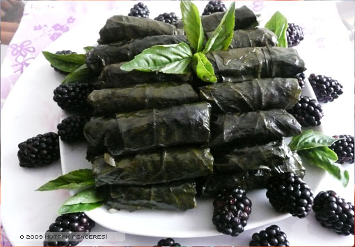 Dut Yaprağı Sarması